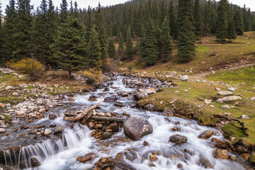 Serene mountain stream flows through a lush valley in the Tian Shan mountain range, Kazakhstan. ...