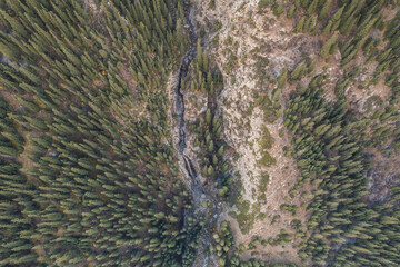Aerial view of a rocky mountain ravine carved through a dense evergreen forest. The image showcases the rugged texture of the rock face contrasting with the uniform lines of the trees. A small stream