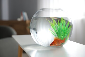 Beautiful goldfish in round aquarium on white table indoors