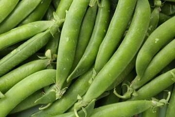 Fresh green pea pods as background, top view