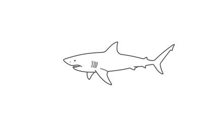 Big Shark Silhouette isolated on white background Minimalist shark vector shape
