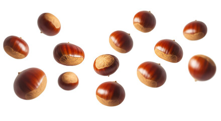 A loose arrangement of glossy brown chestnuts, several with their lighter undersides visible, is scattered across a clean white background.