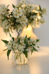 Bouquet of beautiful jasmine flowers in vase on white table indoors, closeup