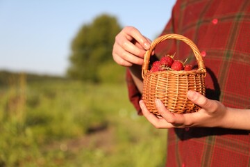 Woman holding basket with fresh strawberries outdoors, closeup. Space for text