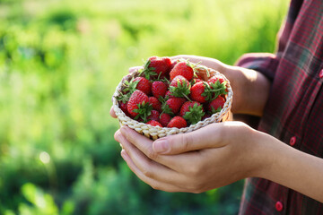 Woman holding basket with fresh strawberries outdoors, closeup. Space for text