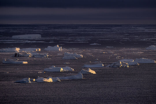 View of shimmering sunlight kissing the jagged edges of icebergs scattered across the dark, rippling sea, a frigid tableau of stark beauty, Seymour Island, Antarctica.