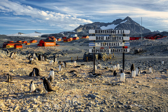 Seymour Island, Antarctica - 05 February 2025: View of the Argentine Base Esperanza signpost amidst the barren landscape, penguins waddling near the red buildings against snow-capped mountains.