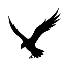 Obraz premium Eagle Silhouette Flying Across Red-Orange Sky Burst