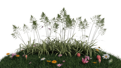 Lush Spring Meadow with Tall Grasses and Wildflowers, Isolated on Transparent Background