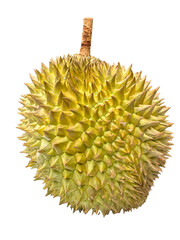 Whole Durian Fruit: Spiky Tropical Delicacy on Transparent Background
