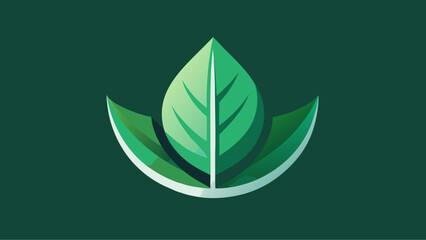 green leaf vector illustration