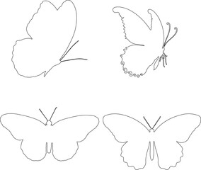 butterflies and flowers