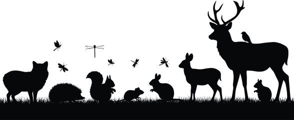 Forest animal silhouettes, wildlife diversity, natural habitat scene, deer squirrel rabbit, bird insect illustration, Adobe Stock, black and white image, woodland creatures