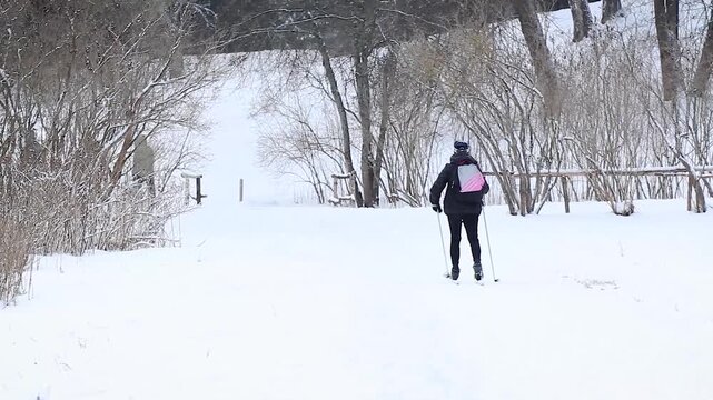 Skier in the park in winter. hobby lover skiing in the park in winter snowy weather