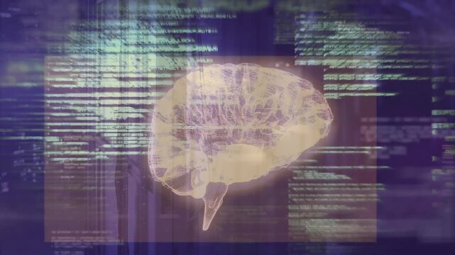 Translucent 3D brain appearing on purple backdrop, streaming code, rotating, revealing neural paths