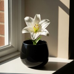 white flower in a vase