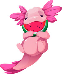 Pink Axolotl with Watermelon