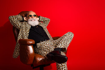 Fashion model gentleman in leopard print suit relaxing in styled chair against vibrant red...
