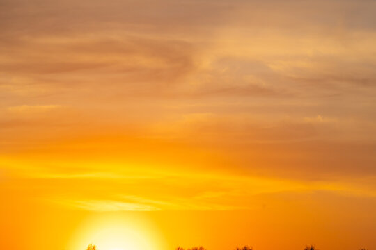 summer morning, dawn over a field with grass, sky without clouds