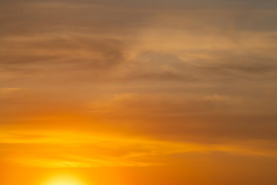 summer morning, dawn over a field with grass, sky without clouds
