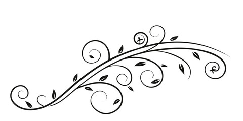 Fototapeta premium Elegant swirl design featuring flowing lines with delicate leaves, perfect for adding a touch of sophistication and natural beauty to projects