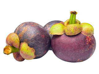Three Ripe Mangosteen Fruits Isolated on Transparent Background, Sri Lanka

