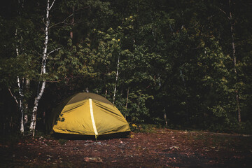 a tent glows softly in the dim light of a dense forest with copy space. camping and adventure...