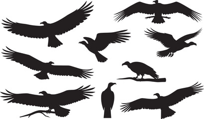 Best vulture silhouette vector set, african bird scavenger eating prey, wildlife icon collection,  standing, outdoor nature clipart , black on white illustration, bird isolted on white background