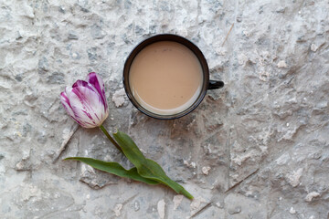pink tulip and cup of coffee with milk
