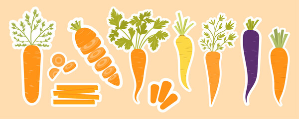 Colorful stickers set of carrots with whole, sliced, and cut pieces. Includes orange, yellow, and purple carrots. Vector stickers of fresh vegetables. Great for healthy food, recipes, and farm designs
