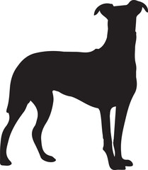 silhouettes of dogs, dog silhouette vector, animal, silhouette, vector, dog, horse, illustration, cat, mammal, pet, animals, nature, farm, black, art, cartoon, icon, wild, running, deer, design, silho