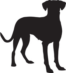 silhouettes of dogs, dog silhouette vector, animal, silhouette, vector, dog, horse, illustration, cat, mammal, pet, animals, nature, farm, black, art, cartoon, icon, wild, running, deer, design, silho
