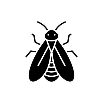 Black filled icon of a caddisfly insect with tent-like wings and aquatic relevance