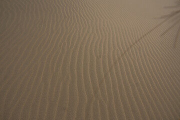 Close-up of wind patterns on desert sand dunes