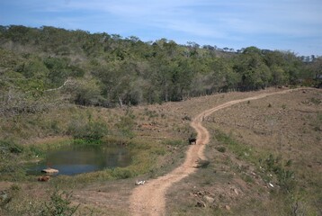 One of the most outstanding characteristics of Venezuela is its immense greenery, large jungles,...