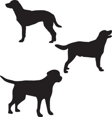 silhouettes of dogs, dog silhouette vector, animal, silhouette, vector, dog, horse, illustration, cat, mammal, pet, animals, nature, farm, black, art, cartoon, icon, wild, running, deer, design, silho