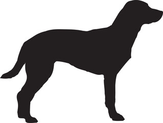 silhouettes of dogs, dog silhouette vector, animal, silhouette, vector, dog, horse, illustration, cat, mammal, pet, animals, nature, farm, black, art, cartoon, icon, wild, running, deer, design, silho