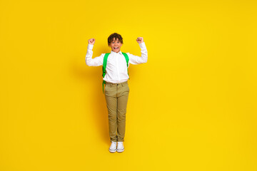 Joyful schoolboy with raised arms poses on a vibrant yellow background, expressing excitement and...