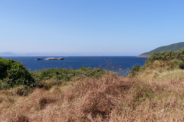 Dry and green vegetation with the bottom of the sea in the Strait of Gibraltar