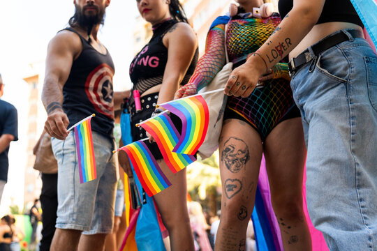 Lgbt friends holding rainbow flags at pride parade