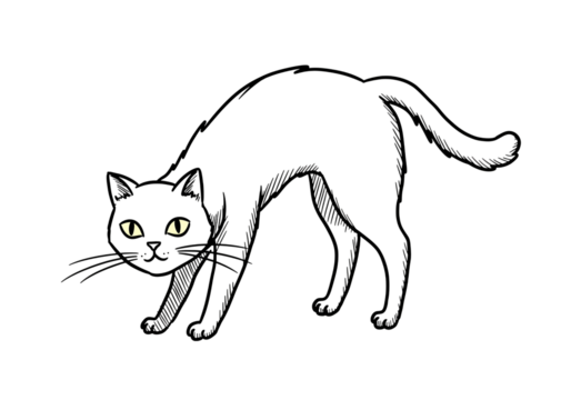 Stylized Black Panther Silhouette