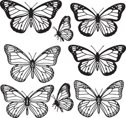 Black and White Butterfly Illustrations with Detailed Wing Veins and Outlines.