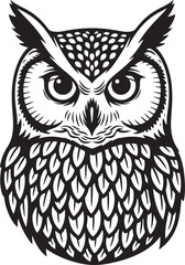 Intricate Black and White Owl Head Design.