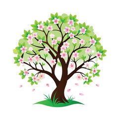 A vibrant spring tree with white apple blossoms, isolated on a white background