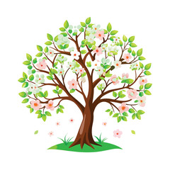 Obraz premium A vibrant spring tree with white apple blossoms, isolated on a white background