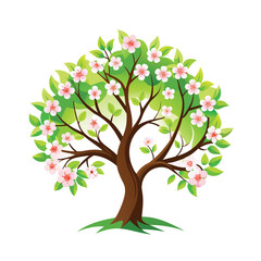 Fototapeta premium A vibrant spring tree with white apple blossoms, isolated on a white background