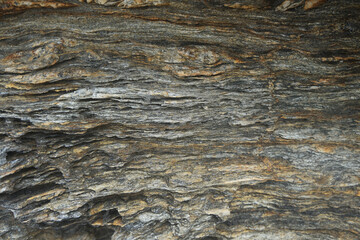 Texture and background of banding or layering of Gneiss rock. gneiss surface. 
