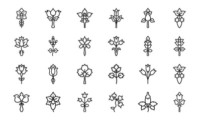 Bundle Ivy Gourd Flower Icon Silhouettes Style White Ba 