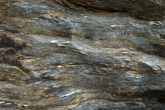 Dark and light stripes alternate in a curved pattern on the gneiss surface.  