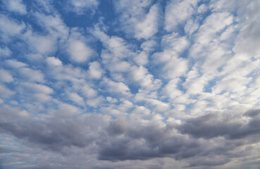 Obraz premium Cirrucumulus clouds add volume and structure to the frame. They are well-suited for illustrating weather phenomena and publications in scientific and educational contexts.
